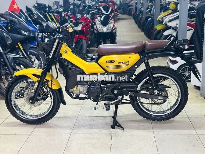 XE MÁY THỊNH PHÁT - YAMAHA PG1 CHẠY LƯỚT CHÍNH CHỦ