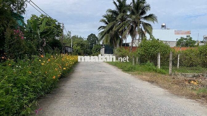 Đất gần KCN Tây Bắc – Vành Đai 4 – sổ riêng – xây dựng ngay – 2,6 tỷ