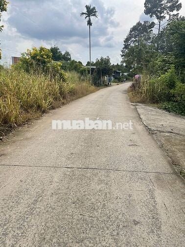 Đất mặt tiền 5m×28m – sổ riêng – dân đông – Củ Chi