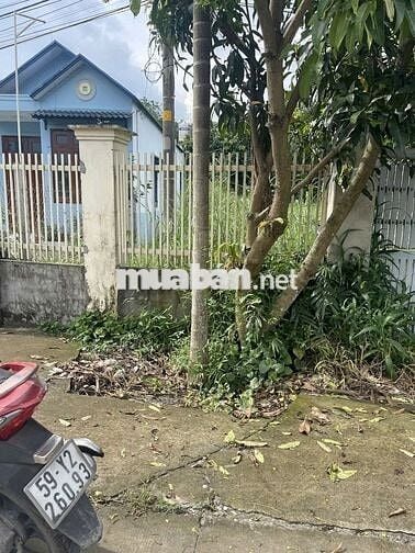 Đất mặt tiền 5m×28m – sổ riêng – dân đông – Củ Chi