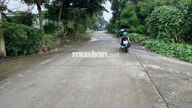 Đất mặt tiền 5m×28m – sổ riêng – dân đông – Củ Chi