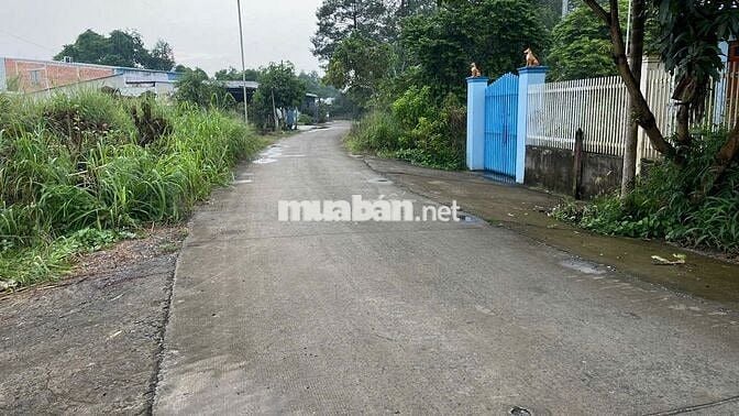 Đất mặt tiền 5m×28m – sổ riêng – dân đông – Củ Chi