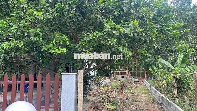 Chủ Cần Vốn Bán Nhanh Lô Đất Mặt Tiền 7M5 Ngay Nam Kỳ Khởi Nghĩa Giá T