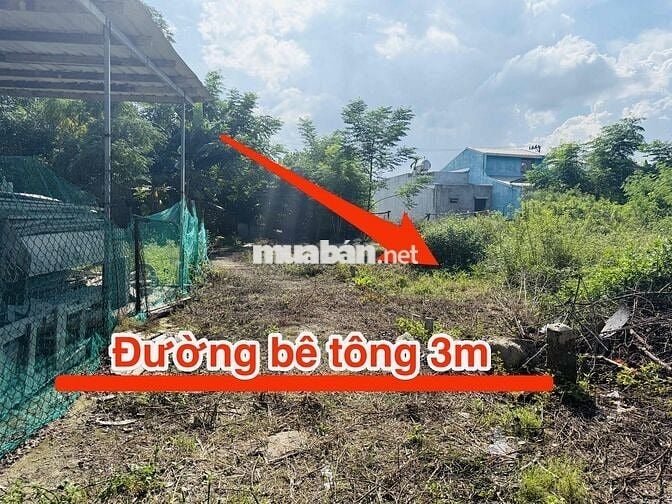 BÁN ĐẤT LỆ SƠN, HOÀ TIẾN, ĐÀ NẴNG. THÍCH HỢP AN CƯ ĐỂ DÀNH