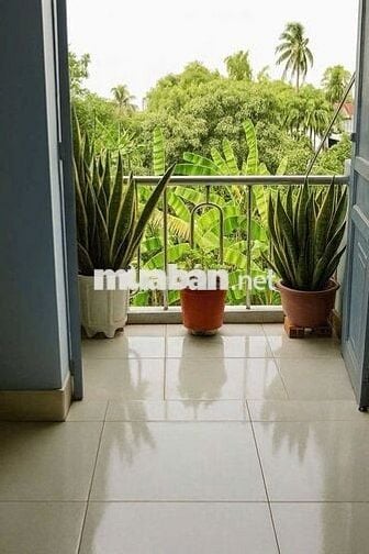 Nhà shr 1 trệt 1 lầu 2pn Long Thượng Cần Giuộc 1tỷ 300