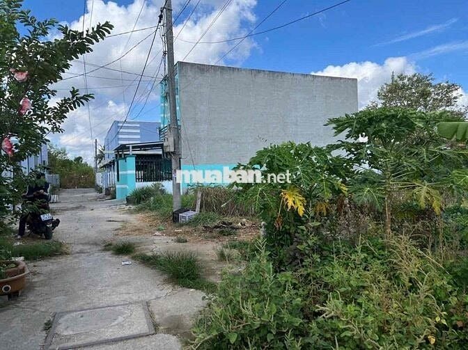 82m2 thổ cư tại Mỹ Lộc Cần giuộc đường xe hơi cách nhựa 100m