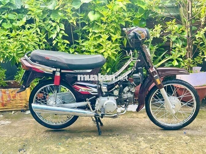 dream up supper máy 12l54 dọn kiểng