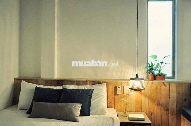 Cho thuê căn hộ mini, hẻm cụt an ninh đường Nguyễn Cư Trinh, 39m2