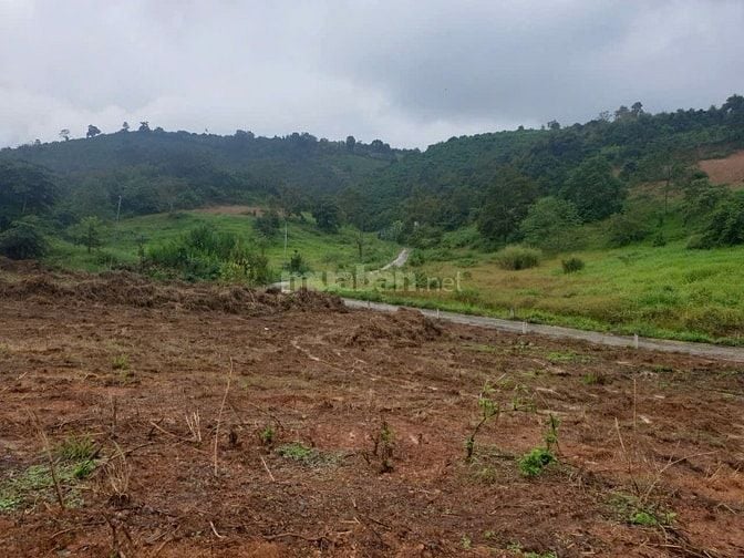 Lô đất mặt tiền đường chính Thôn 5, Tân Lạc sẵn thổ cư - giá rẻ