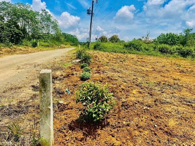 Lô đất mặt tiền đường chính Thôn 5, Tân Lạc sẵn thổ cư - giá rẻ