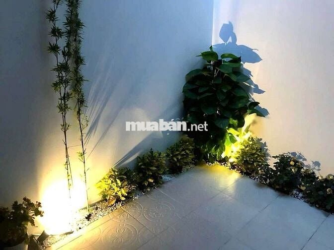 Cho thuê nhà  nguyên căn Mặt Tiền đường Liên Tỉnh 5 Quận 8