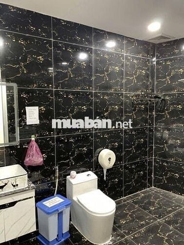 Cho Thuê Nhà Đường Nguyễn Văn Trỗi, Tân Bình ( 505m2 - KD Tự Do )