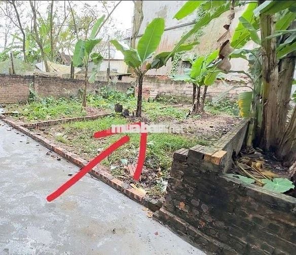 🧨44m2 Đất NGÔ GIA TỰ, LB, PHÂN LÔ GIÁO VIÊN, GẦN TRƯỜNG, CHỢ, BV