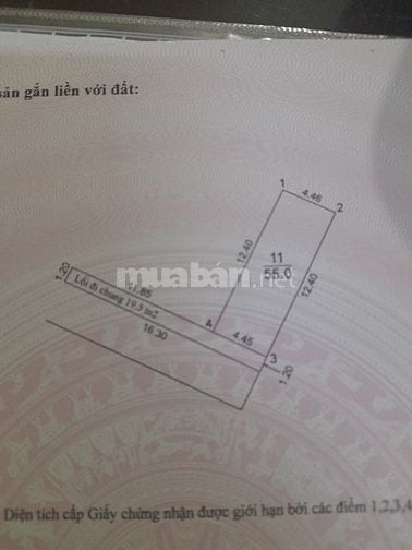 Cần bán gấp đất Mỹ nội, Phúc Thịnh, Đông Anh