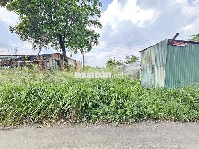 Đất 215m2 khu du lịch Hố Lang, phường Tân Bình, Tp Dĩ An