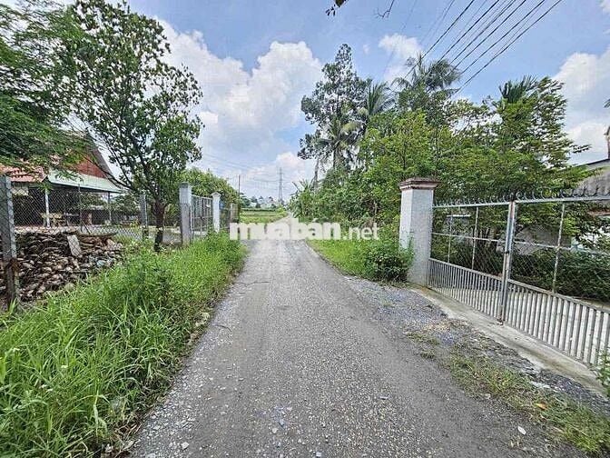 Đất 215m2 khu du lịch Hố Lang, phường Tân Bình, Tp Dĩ An