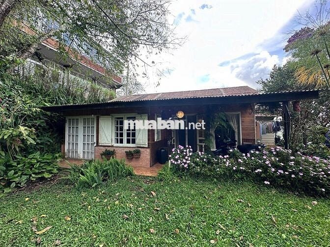 Bán đất tại Cô Giang, P9, Đà Lạt, Lâm Đồng. - Diện tích 1200m²