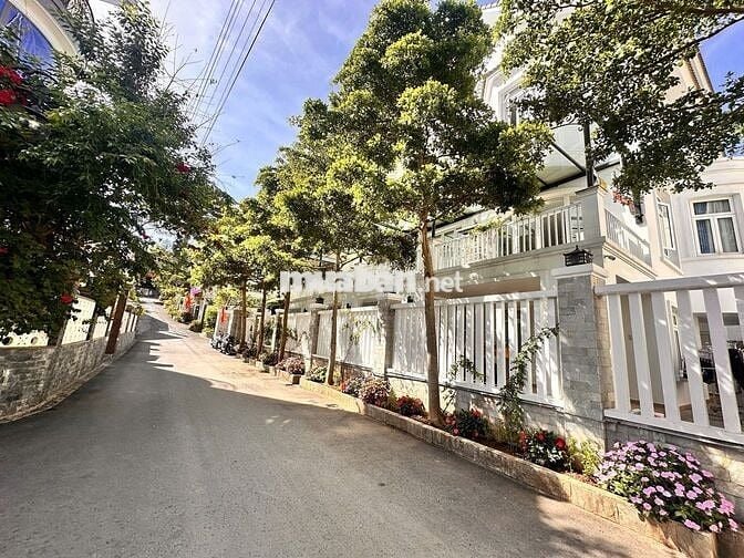 Bán đất tại Cô Giang, P9, Đà Lạt, Lâm Đồng. - Diện tích 1200m²