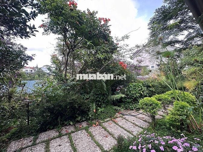 Bán đất tại Cô Giang, P9, Đà Lạt, Lâm Đồng. - Diện tích 1200m²