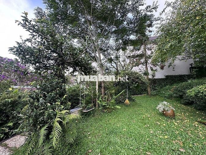 Bán đất tại Cô Giang, P9, Đà Lạt, Lâm Đồng. - Diện tích 1200m²