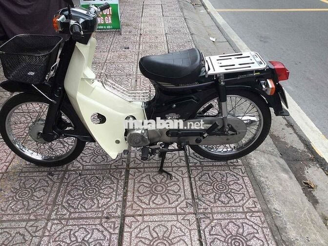 xe cub đèn vuông có đề của Nhật