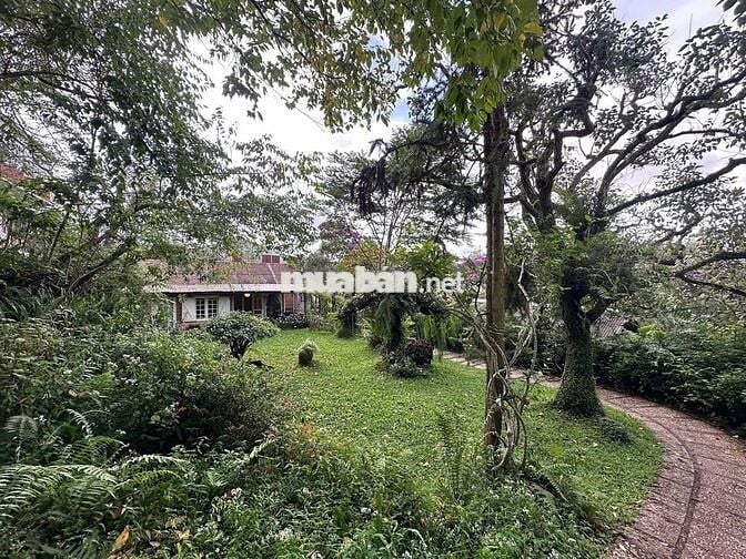 Bán đất tại Cô Giang, P9, Đà Lạt, Lâm Đồng. - Diện tích 1200m²