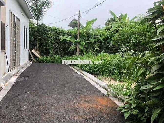 🔥 ĐẤT LÔ GÓC 2 MẶT THOÁNG – 40m² CHỈ 2.95 TỶ – NAM HỒNG ĐÔNG ANH