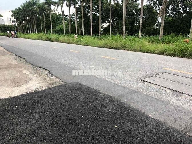 🔥 ĐẤT LÔ GÓC 2 MẶT THOÁNG – 40m² CHỈ 2.95 TỶ – NAM HỒNG ĐÔNG ANH
