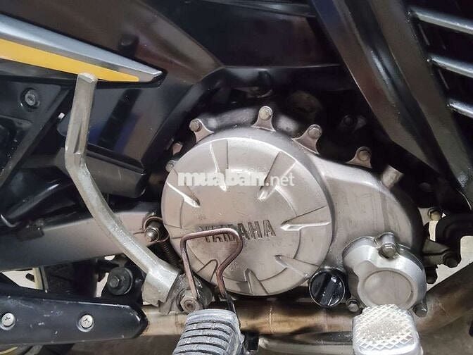 Exciter 135