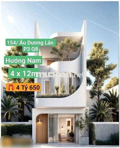 Bán Nhà Cấp 4 Đường Âu Dương Lân P3.Q8