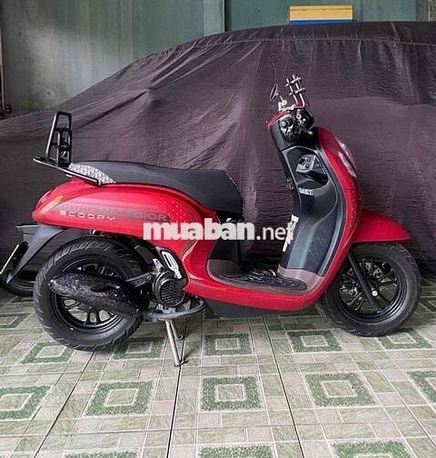 xe scoopy indo