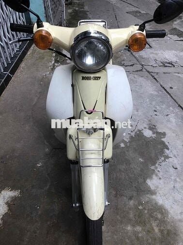 Espero cup 50cc biển tỉnh