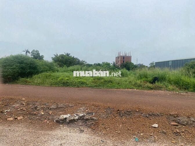 🌟 BÁN ĐẤT AN THẠNH – DT 196,5M² – GIÁ 4 TỶ 4 🌟
