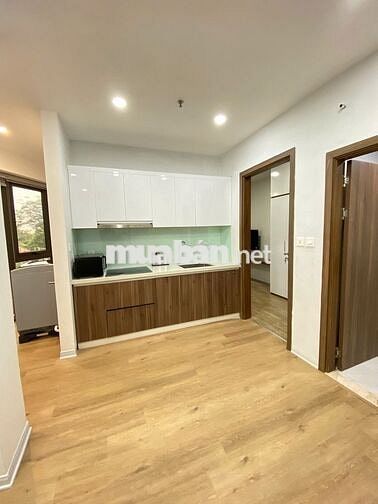 Cho thuê căn hộ 1N1K full nội thất 50m2 mặt phố lạc long quân