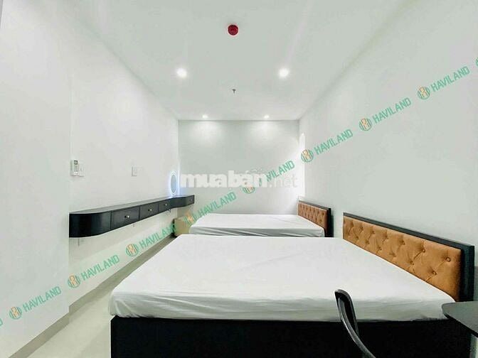 ✨ Khai trương tòa nhà mới tại Phú Lộc 22 – Liên Chiểu ✨