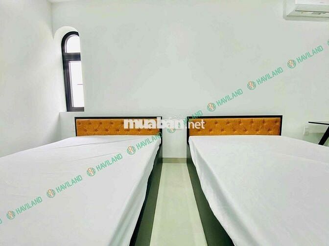 ✨ Khai trương tòa nhà mới tại Phú Lộc 22 – Liên Chiểu ✨