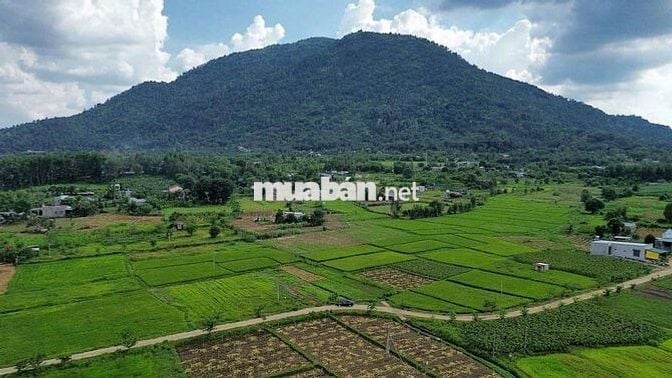 Đầu tư an toàn với đất phân lô thổ cư Tài sản lâu dài giá trị bền lâu