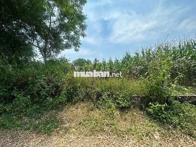 Bán cụm đất 800m2. Phường An thắng TP ĐÀ NẴNG