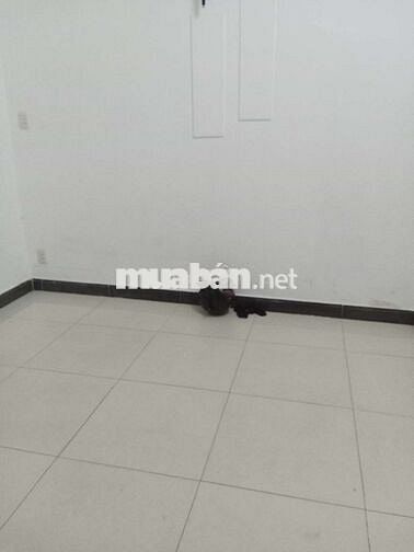 Cho thuê nhà hẻm xe hơi đường Nguyễn Văn đậu