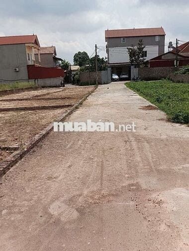 Bán Đất - Lập Trí (Minh Trí) - 81M2 Full Thổ Cư - 1,65 Tỷ