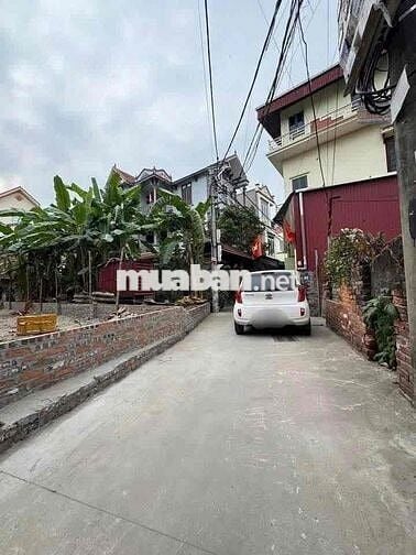 🔥Cần bán đất Lễ Pháp - Tiên Dương - Đông Anh🔥nay là xã phúc thịnh mới