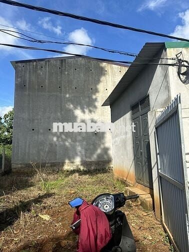Nhà yến kiên cố, đang có tổ, 280m² – giá tốt cho nhà đầu tư.