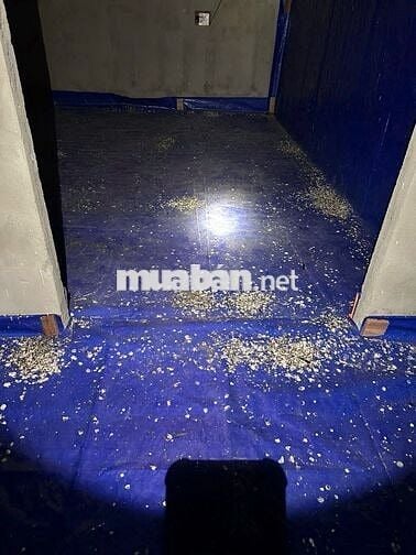 Nhà yến kiên cố, đang có tổ, 280m² – giá tốt cho nhà đầu tư.