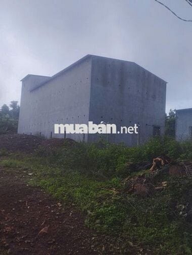 Nhà yến kiên cố, đang có tổ, 280m² – giá tốt cho nhà đầu tư.