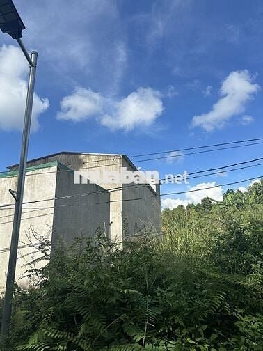 Nhà yến kiên cố, đang có tổ, 280m² – giá tốt cho nhà đầu tư.
