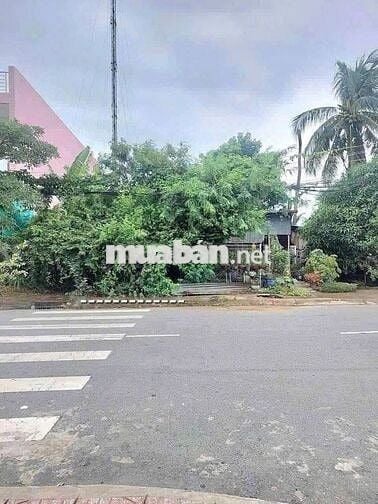 Cần bán tài sản tích trữ mặt tiền đường Nguyễn thị bảy-tt Cần Giuộc