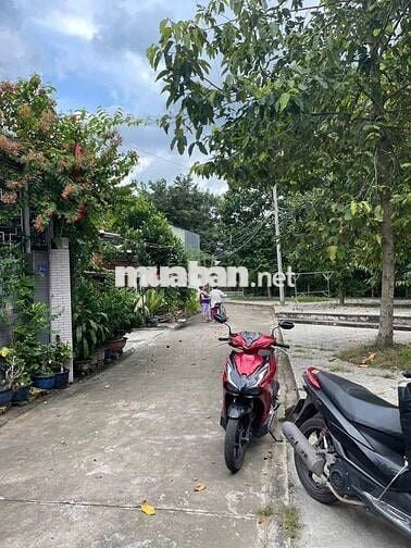 NHÀ RẺ TÂN AN   8 x 20 m – TC full, tổng DT 200 m²