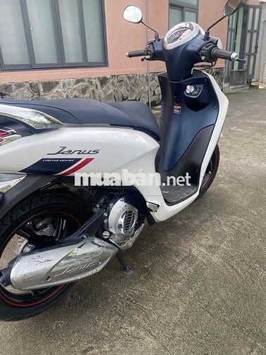 xe ích đi còn đẹp
