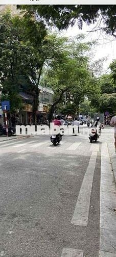 Bán nhà phố Lê Trực, quận Ba Đình, 51 m , 8, 9 tỷ . 5 tầng