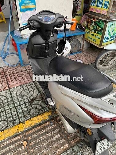 SCR giấy tờ theo xe bssg
